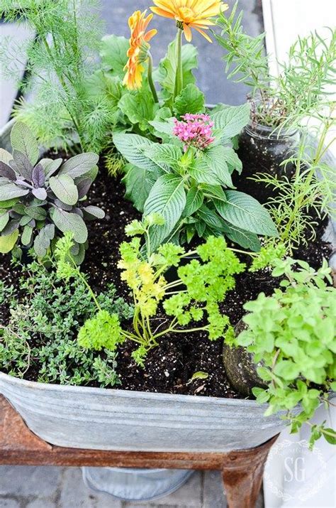How To Grow A Kitchen Herb Garden Stonegable Herb Garden In Kitchen