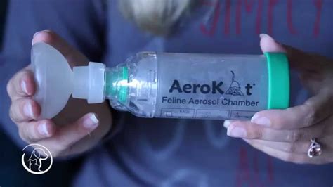 Statik g | broke official music video. "How To" Give Your Asthmatic Cat an Inhaler - YouTube