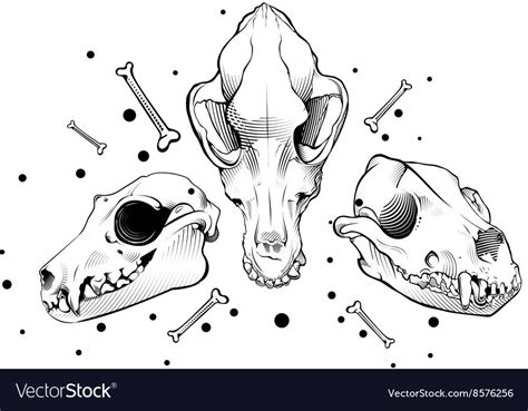 Dog Skull Engraving Style Royalty Free Vector Image Aff Engraving