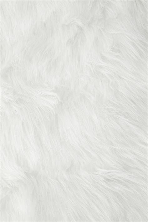 White Fur Wallpapers Top Free White Fur Backgrounds Wallpaperaccess