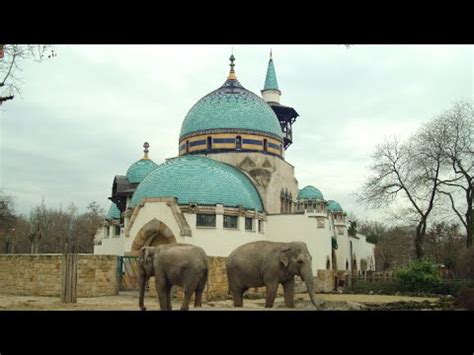 Többen mehetnek naponta a fővárosi állatkertbe. 150 éves a Fővárosi Állatkert - YouTube