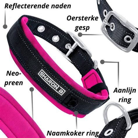 Halsband Hond Roze Maat M Met Gesp Reflecterend Hondenhalsband Bol