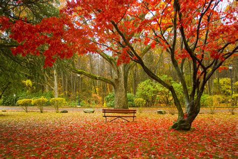 New England Fall Foliage Central 2018