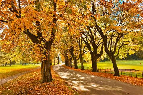 Uk Autumn Season Weather Guide Where To Go In 20232024
