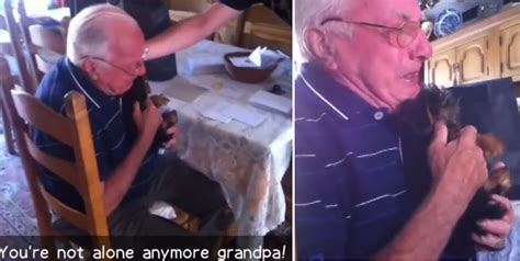 Heartbroken Grandpa Gets Most Beautiful T Ever Barkpost