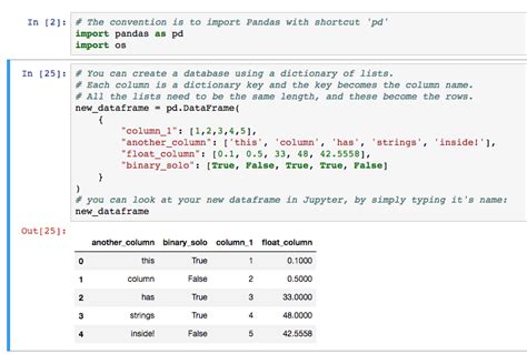 Python Pandas Dataframe Load Edit View Data Shane Lynn