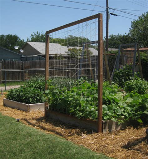 Diy Raised Bed Trellis Finegardening