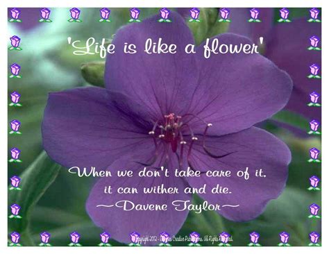 The hippie culture is a youth movement stemming from the 1960s. Flower Wallpaper With Quotes. QuotesGram