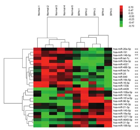 Differentially Expressed Mirnas In The Bph And Control Groups Mirna