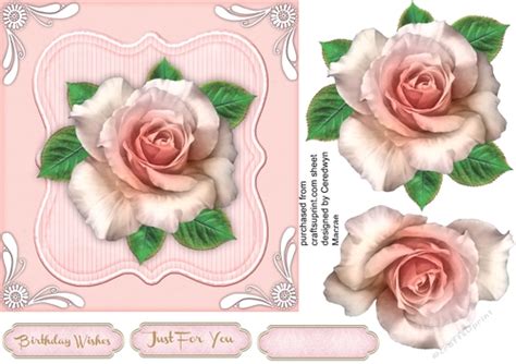 Lovely Pink Rose With White Corner Cup8378931398 Craftsuprint