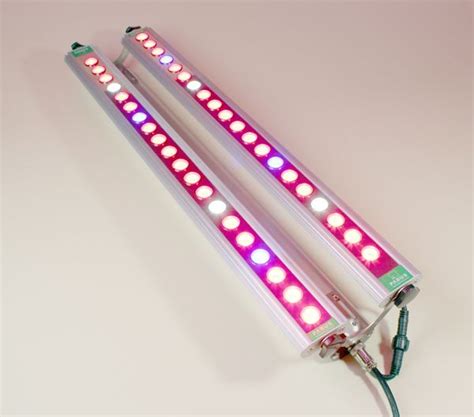 Do you know what i mean led grow light is? Future of LED Grow Lighting