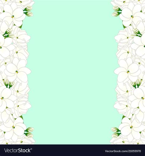 Amazing lilly flower corner border designs 2016 sadiakomal. Arabian jasmine border on green mint background Vector Image