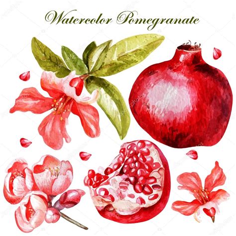 We did not find results for: Beautiful watercolor set with fruits and flowers of ...