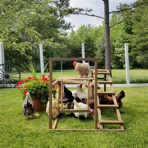 Backyard Playground For The Chickens Tractorsupply Gymnastics