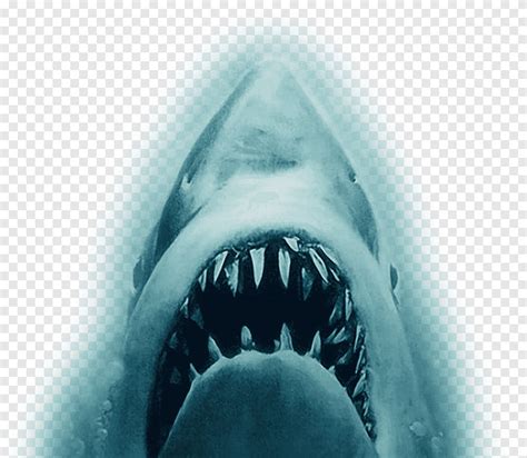 Shark Jaw Silhouette