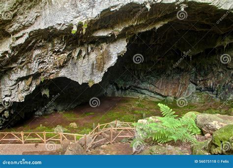 Moss Covered Cave With Green Fern Leaves At Foreground Stock Photo