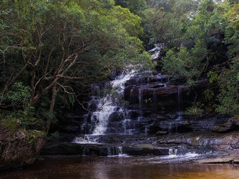 Somersby Falls Things To Do Love Central Coast