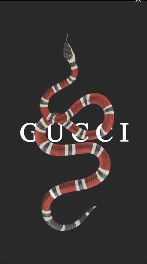 Maybe you would like to learn more about one of these? Gucci Bart Wallpapers - Wallpaper Cave
