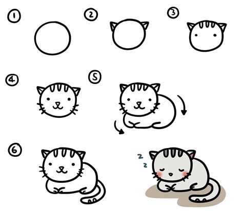 Instreamsetdrawing Tutorial And Aspcat How To Draw A Simple Cat