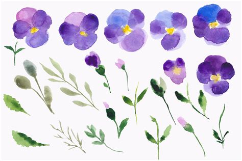 Watercolor Pansy Flowers Clip Art Illustration By Taningreen 17d