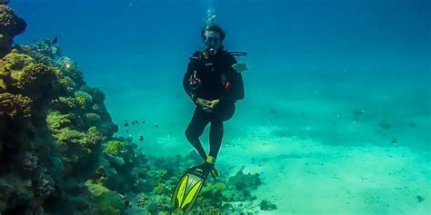 Scuba Diving In Costa Rica Explore Underwater Wonders