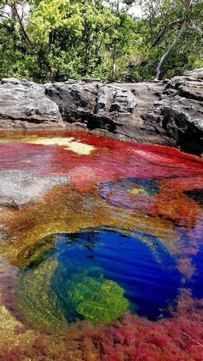 Rio Caño Cristales Colombia Beautiful Places To Visit Beautiful