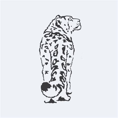 Snow Leopard Trust Seattle Wa