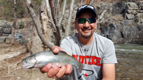 Trout Fishing New Mexicos Pecos River Youtube