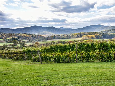 Virginia Wineries Map And Information Kazzit Us Wineries
