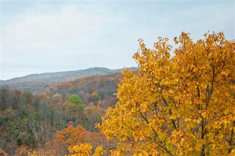 Beautiful Adventure Fall Foliage Train Ride In Arkansas
