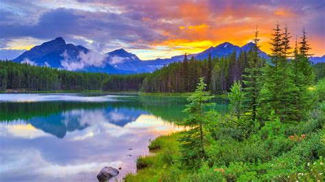 Herbert Lake Banff National Park Alberta Wallpapers Hd Desktop