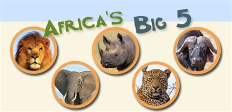 Tanzania African Safari Tours Big 5 Serengeti Vacationland Safaris