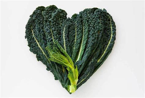 Dark Leafy Greens Superfood Fit And Healthy Recipes