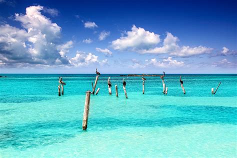 Dit was 'n emosionele unsworth wat ná die wedstryd deur spanmaats en sy vrou, jemma, omhels is. Urlaub in Mexiko - meine Cancún Tipps für euch | Urlaubsguru
