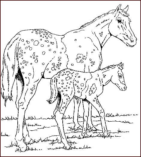Coloriage de chevaux qui saute a imprimer 1001 animaux. coloriage cheval 37 - Coloriage en ligne gratuit pour enfant