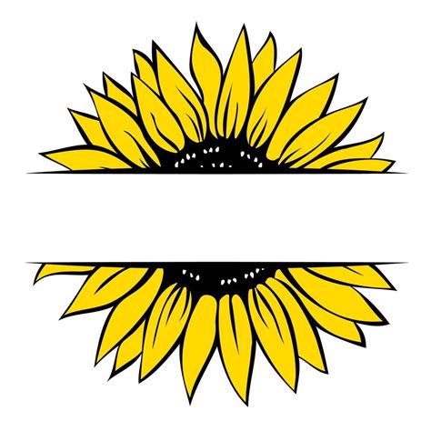 Sunflower Monogram Template Split Sunflower Hand Drawn Vector