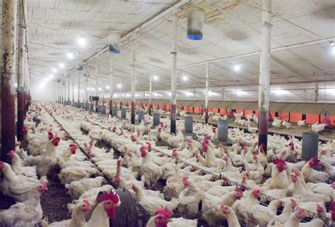 Could using it in agriculture be the answer? United States - The Real Future of Agriculture | ARC2020