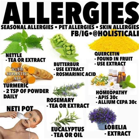 Pin By Edith On Healthrecipies Herbs For Allergies Herbs For Health
