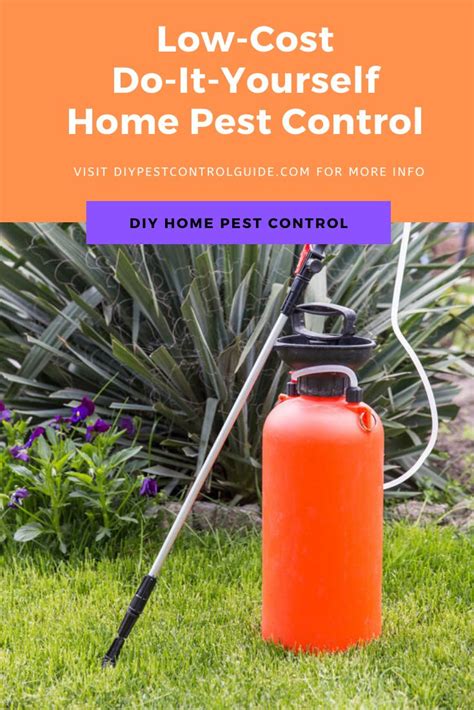 Pest control service vs do it yourself. A Low-Cost Do It Yourself Home Pest Control Solution in 2020 | Pest control, Diy pest control ...