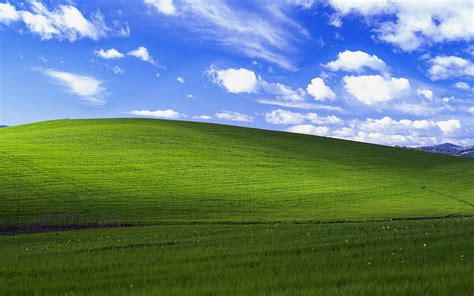 1080p Free Download Windows Xp Bliss Now Windows Xp Grass Hd