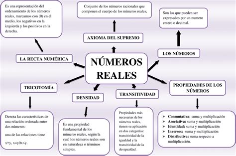 Mapas Conceptuales De Los N Meros Reales Descargar