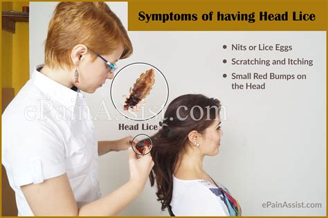 Head scratching is the infamous first sign of an infestation. How Do You Get Lice and Ways to Get Rid of it?