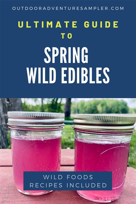 Ultimate Guide To Spring Wild Edibles In 2020 Wild Edibles Edible