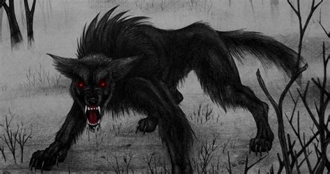 Black Shuck The Legendary Devil Dog Of The English Countryside