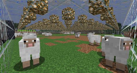 Sheep Farm Minecraft Design Technology And Information Portal