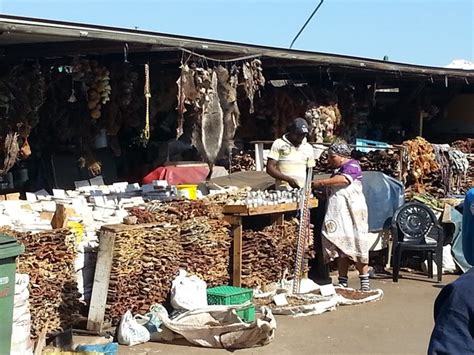 Monkey Paws At Durbans Muthi Market Africa Geographic