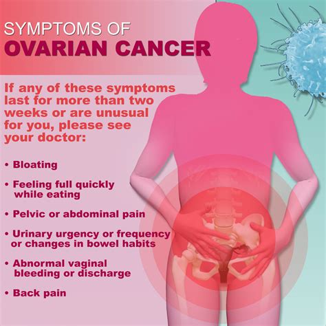 Learn about the signs and symptoms of ovarian cancer such as bloating, pelvic or abdominal (belly) pain, feeling full quickly, and urinary symptoms. New Ovarian Cancer Screening Twice as Effective - The ...