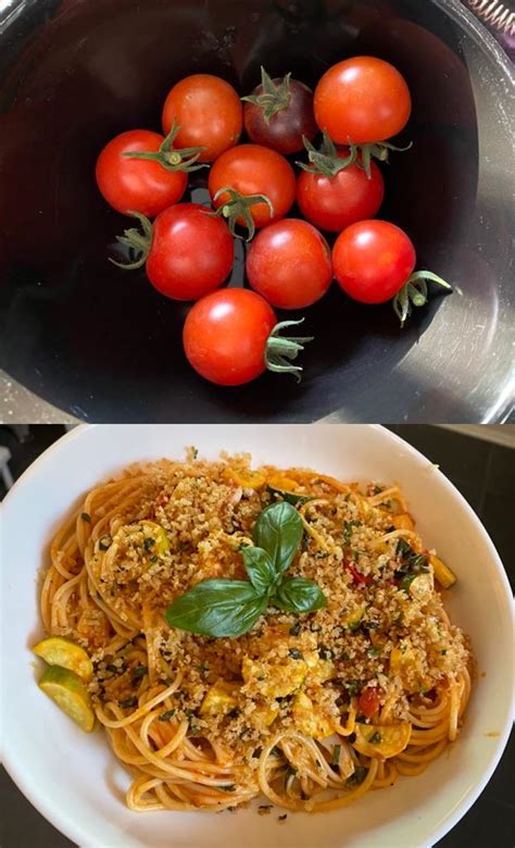 Make the most out of zucchini season by storing it the right way—and keeping it fresh for as long as possible Dinner last night made with homegrown tomatoes, zucchini ...