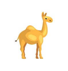 Producing up to 115 air watts, it generates powerful suction. Cartoon funny camel running Royalty Free Vector Image