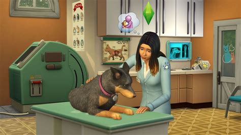 Vet Clinic The Sims Wiki